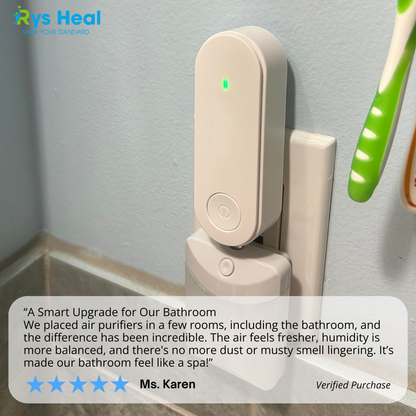 Rys™ Clean Air System